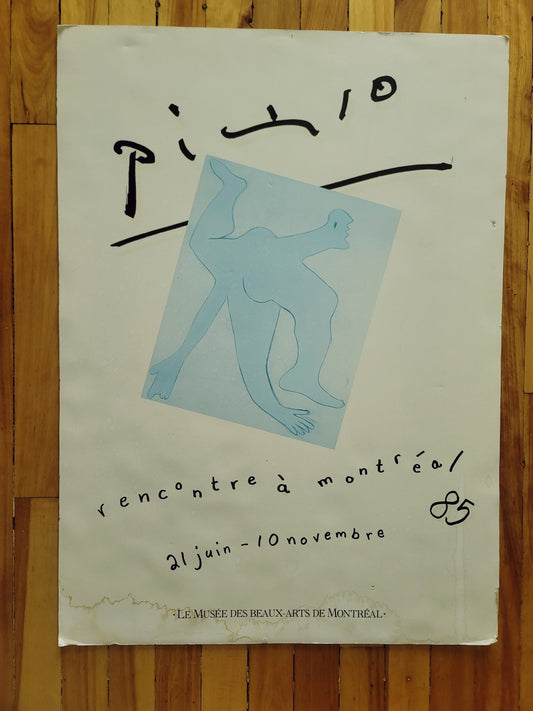 Piccaso Poster Board